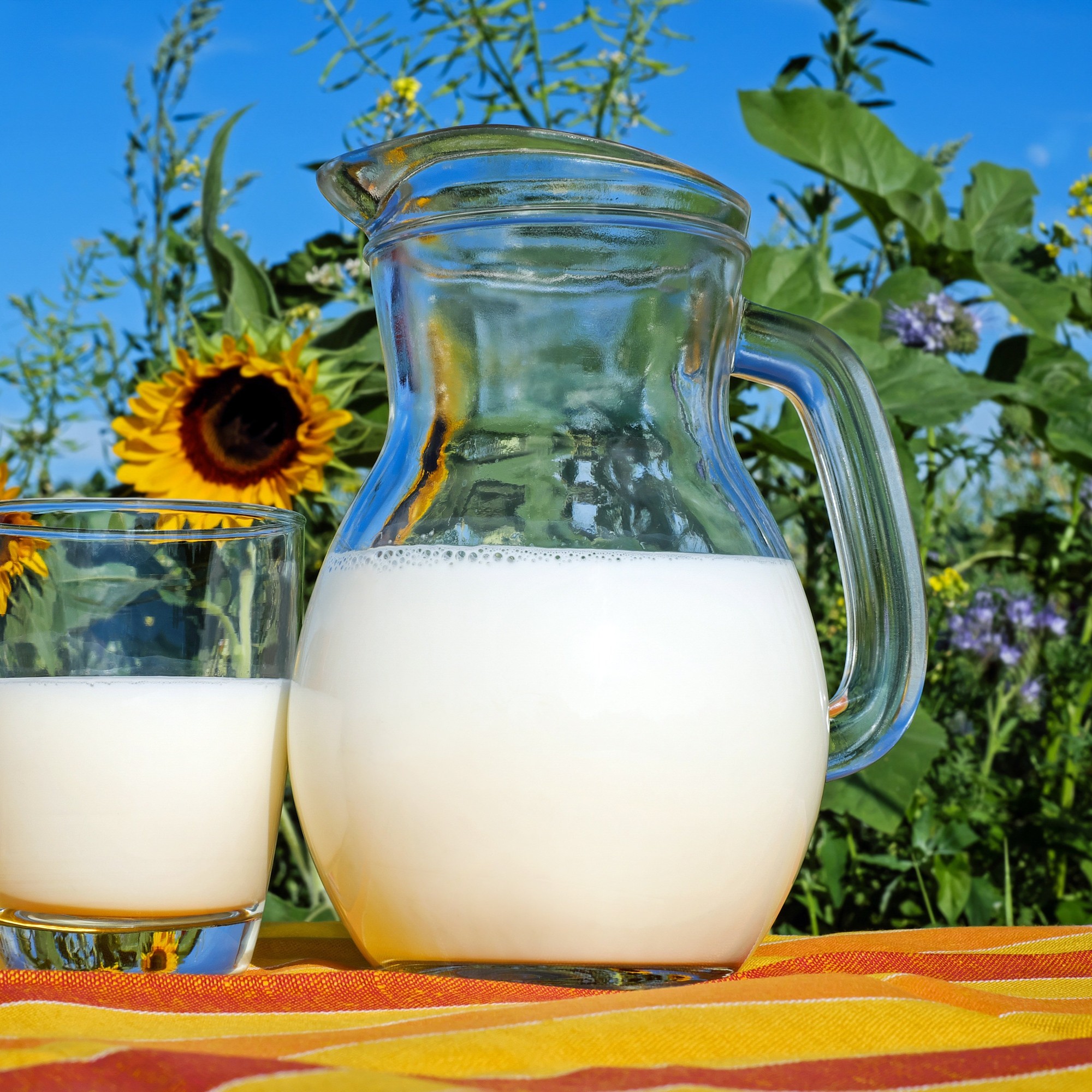 Dairy products pictures for kids school project